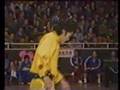 Wushu Hu Jian Qiang