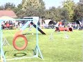 Uschi mit Blizz, K�ngen, A2, 28.09.08