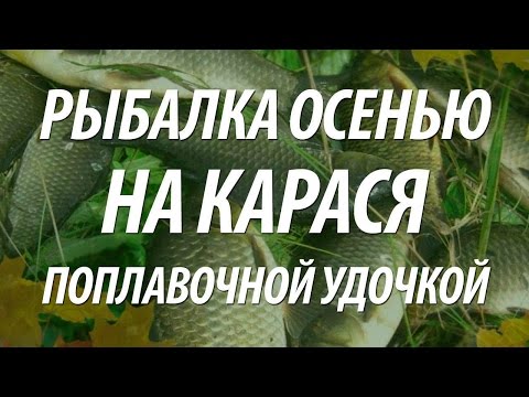 YouTube Трейлер
