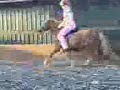 first propper canter
