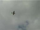Erstflug Grumman Widgeon