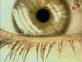 Otep - T.R.I.C