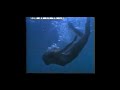 Making of Tonno Mareblu (extract)