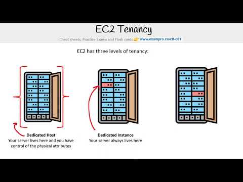 CLF-C01 — EC2 Tenancy