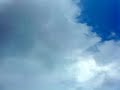MOV01012.MP4