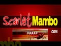 for more videos and salsa news:
http://www.scarletmambo.com

salsa/mambo history -palladium era-golden age of dance part1

this episode is a 27 minute documentary showing mambo dancing in new york city at the palladium in the 1950s. back then the night began with a free mambo lesson on 2 (hey, just like they do today at some places !) and continued until 4am. old footage was displayed of the famous dancers of that era. their dance style was not quite as precise and polished as today's dancers but it was fun to watch everyone doing their thing on the dance floor.

currently, the ballet hispanico dance company is performing at the joyce theater in new york reliving the days at the palladium. each dancer was selected to play a certain 