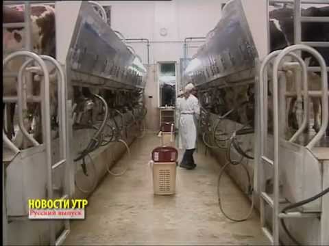 Смотреть видео