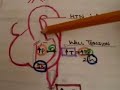 Cardiac Pathophysiology part 1