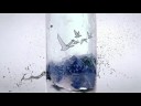 Grey Goose Origins