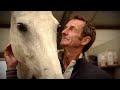 Ló és lovasa közti kapcsolat Mark Todd szemével
