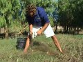 barra-fishing-ord-river.html