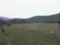 els bolets de la cerdanya