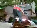 Wrestling(boudy)