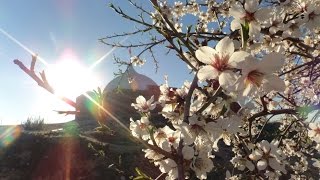 Video Actividades Primer Trimestre