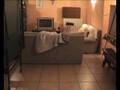 videos de Vicky teletrasporto