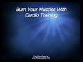 3 Secrets To Making Fat Burning Programs Work For You 3 Secrets To Making Fat Burning Programs Work For You