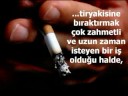 KARANLIK,TAN AYDINLI?A DO?AN B?R NUR