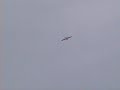 KATANA FLY AT STC SDK