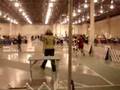 UKC Jr Showmanship Videos