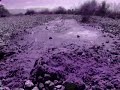 Possiamo salvare il nostro Pianeta? - Save the Planet! Possiamo salvare il nostro Pianeta? - Save the Planet!
