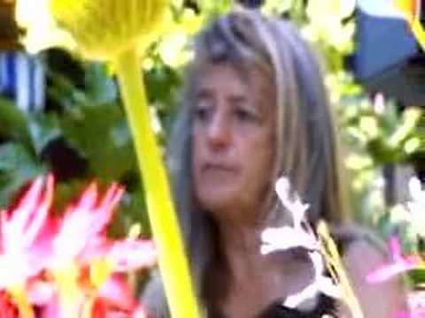 s3nn5 - Status Anxiety discusses the desire of people in many modern societies to
