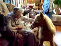 Nonnie, Mom, and Butterscotch Pony at Christmas Nonnie, Mom, and Butterscotch Pony at Christmas