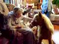 Nonnie, Mom, and Butterscotch Pony at Christmas