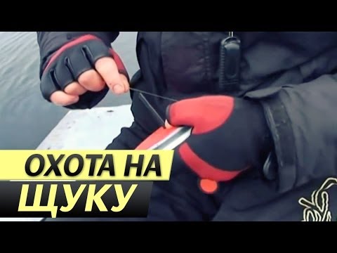 YouTube Трейлер