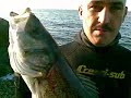 zıpkınla levrek avı 9 kg.