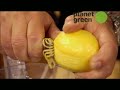 Emeril Green Recipes- Artichoke Bruschetta