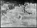 AutoCopter with Infrared Video
