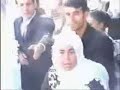 togan7.html