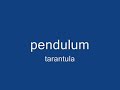 pendulum tarantula