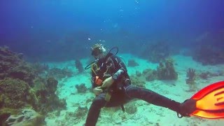 Check Out My New Scuba Diving Video In Roatan, Honduras