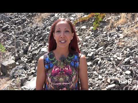 Porto Santo 600 | Episódio 06