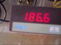 30th hour of plate cleansing-Bob boyce cell replication