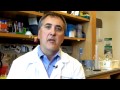 Megabladder Mouse Model of Congenital Obstructive Nephropathy