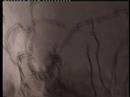 GIAMPAOLO KOHLER SEX ASIAN EXPERIMENT WATER AND INK