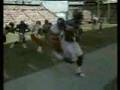 Sean Taylor Jacks Up Brian Moorman At The Pro Bowl