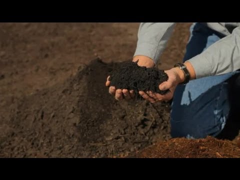how to drain soil