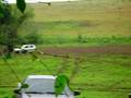 videos de potrero