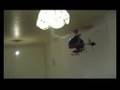 Buzz Fly - BuzzFlyer
