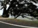 Norton In Coromandel Norton In Coromandel