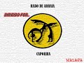 grupo rabo de arraia capoeira málaga   curso profesor zamis 