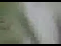 valentin elizalde autopsia video inedito