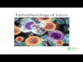 Deane Halfpenny - Pain Talk Deane Halfpenny - Pain Talk