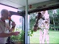 Giraffe in Hodenhagen