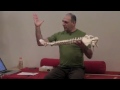 yoga anatomy - Stira&Sukha of the Spine