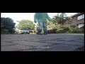 Snippet vid