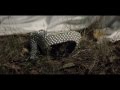  Forever Don't Last (Official Video) 